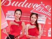 Đồng Phục PG Bia Budweiser